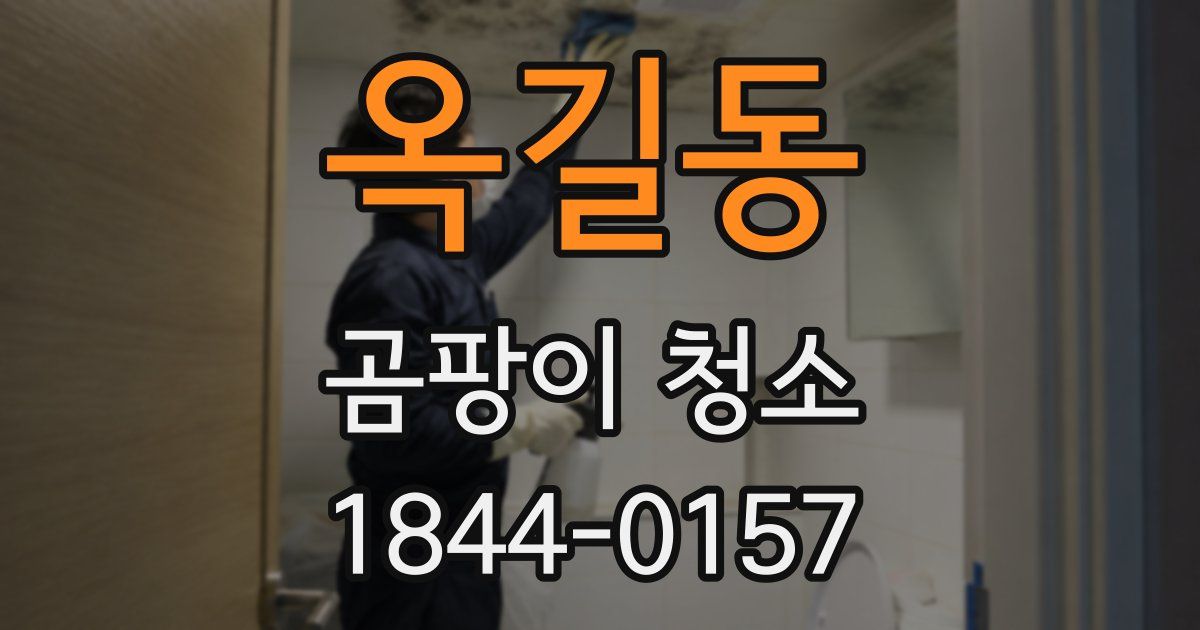 옥길동 곰팡이 청소
