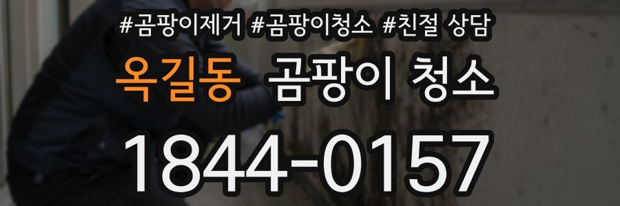 옥길동 곰팡이 청소