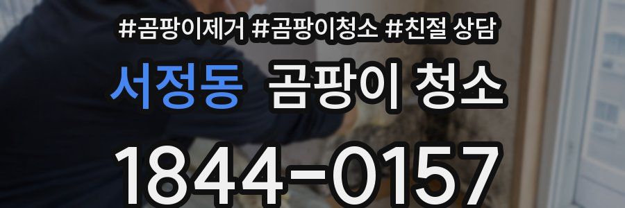 서정동 곰팡이 청소