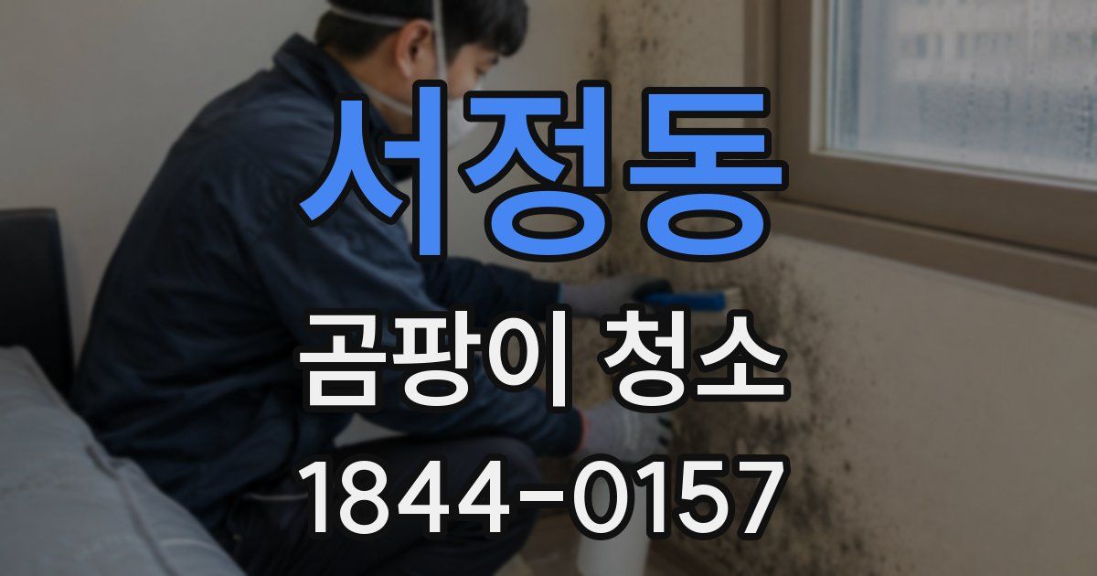 서정동 곰팡이 청소
