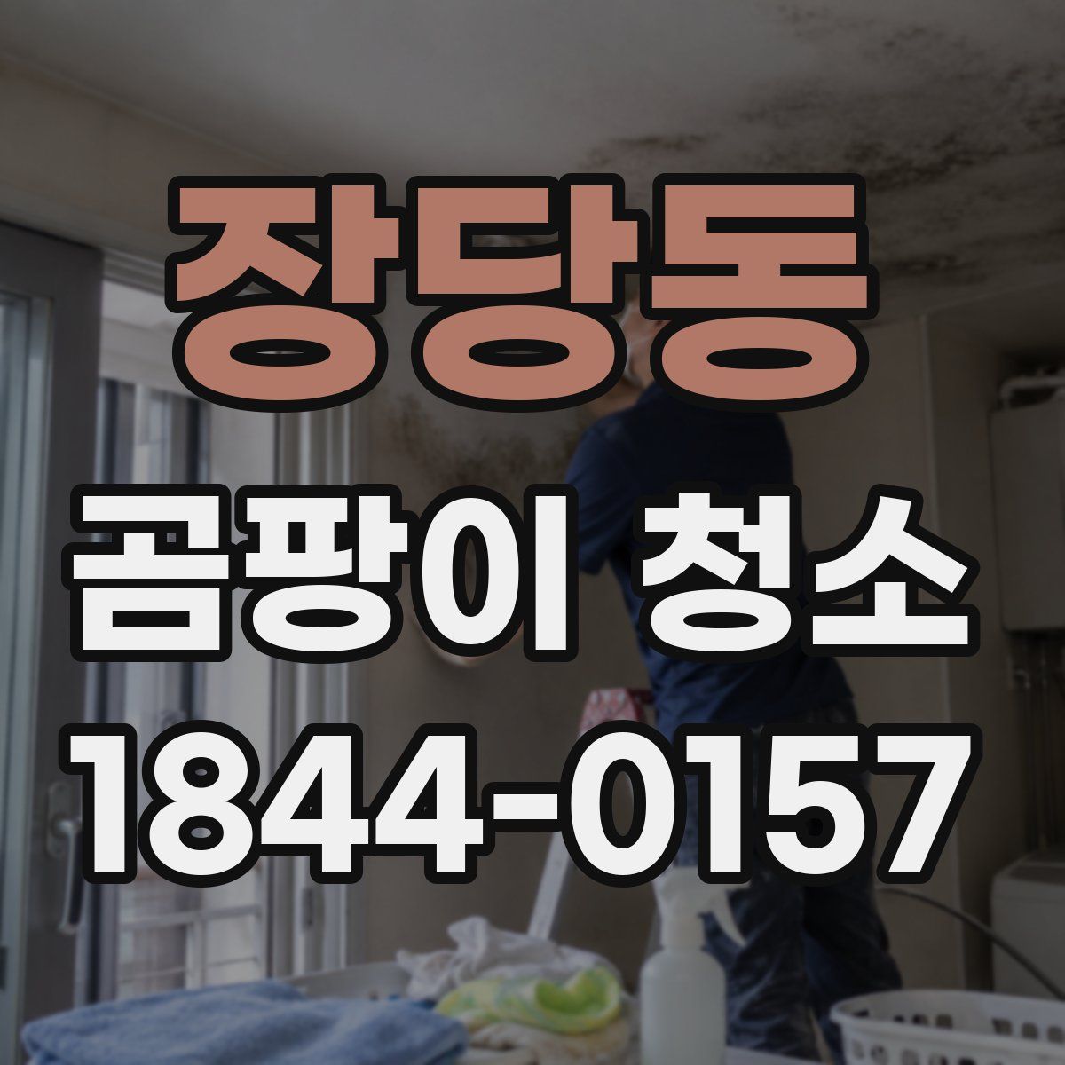 장당동 곰팡이 청소