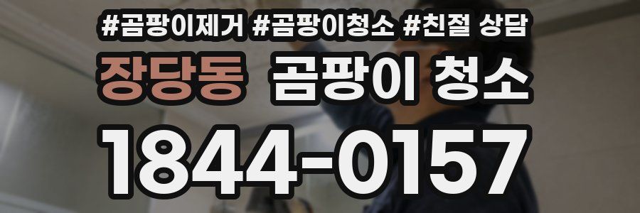 장당동 곰팡이 청소
