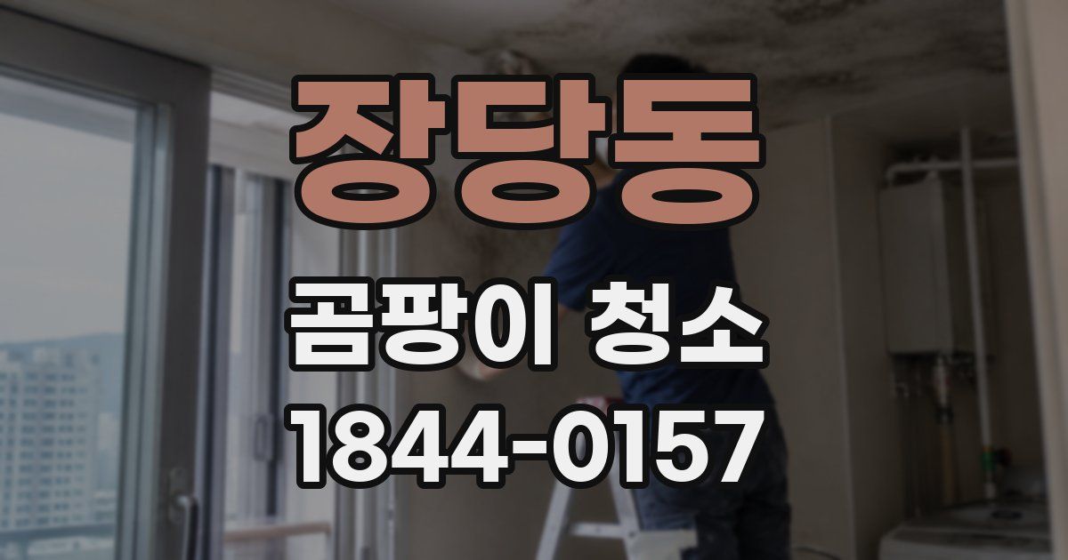장당동 곰팡이 청소