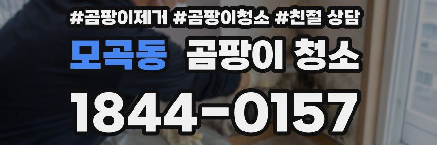 모곡동 곰팡이 청소