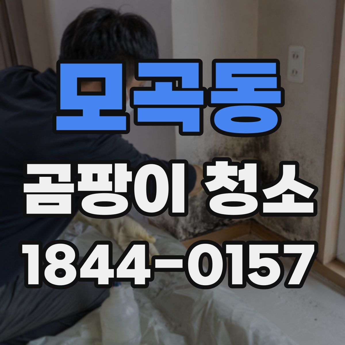 모곡동 곰팡이 청소