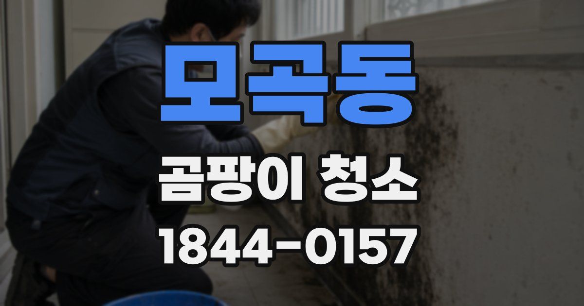 모곡동 곰팡이 청소