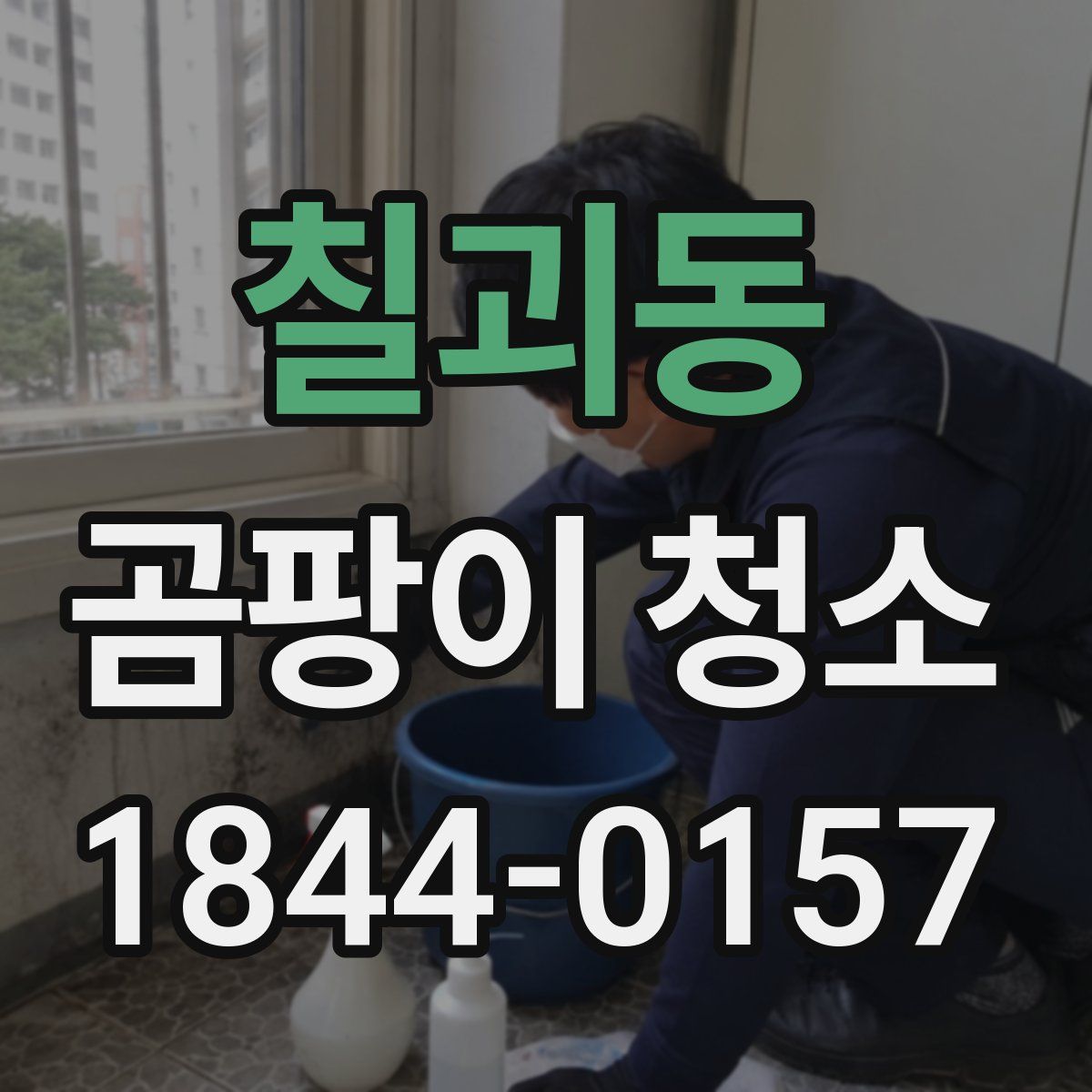 칠괴동 곰팡이 청소