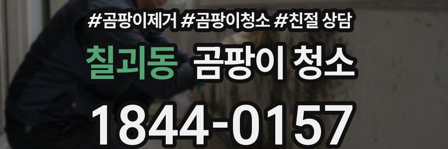 칠괴동 곰팡이 청소