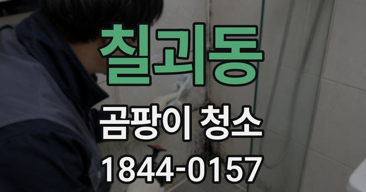 칠괴동 곰팡이 청소