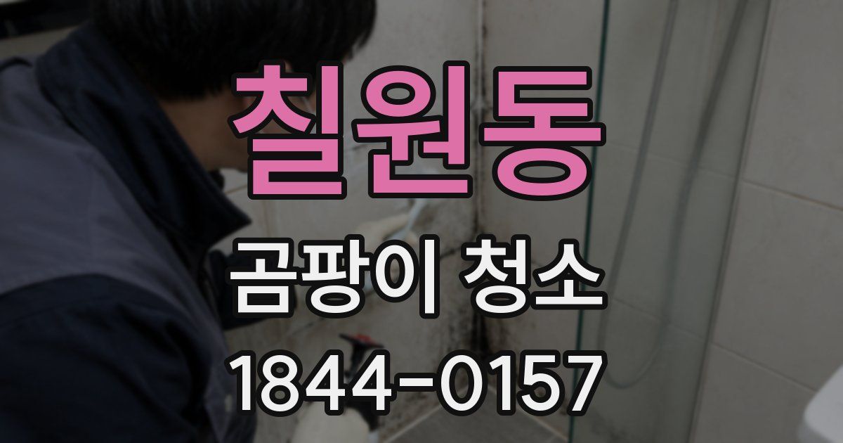 칠원동 곰팡이 청소