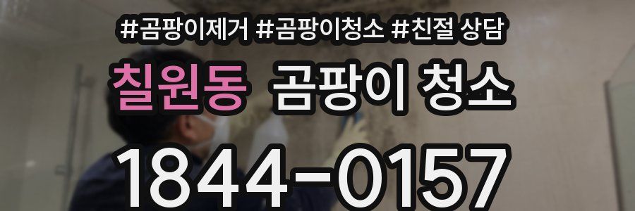 칠원동 곰팡이 청소