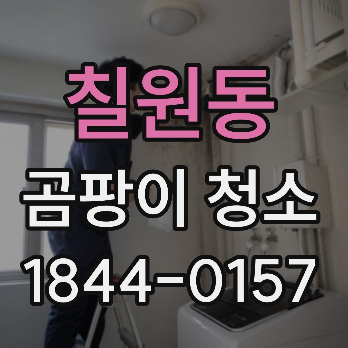 칠원동 곰팡이 청소