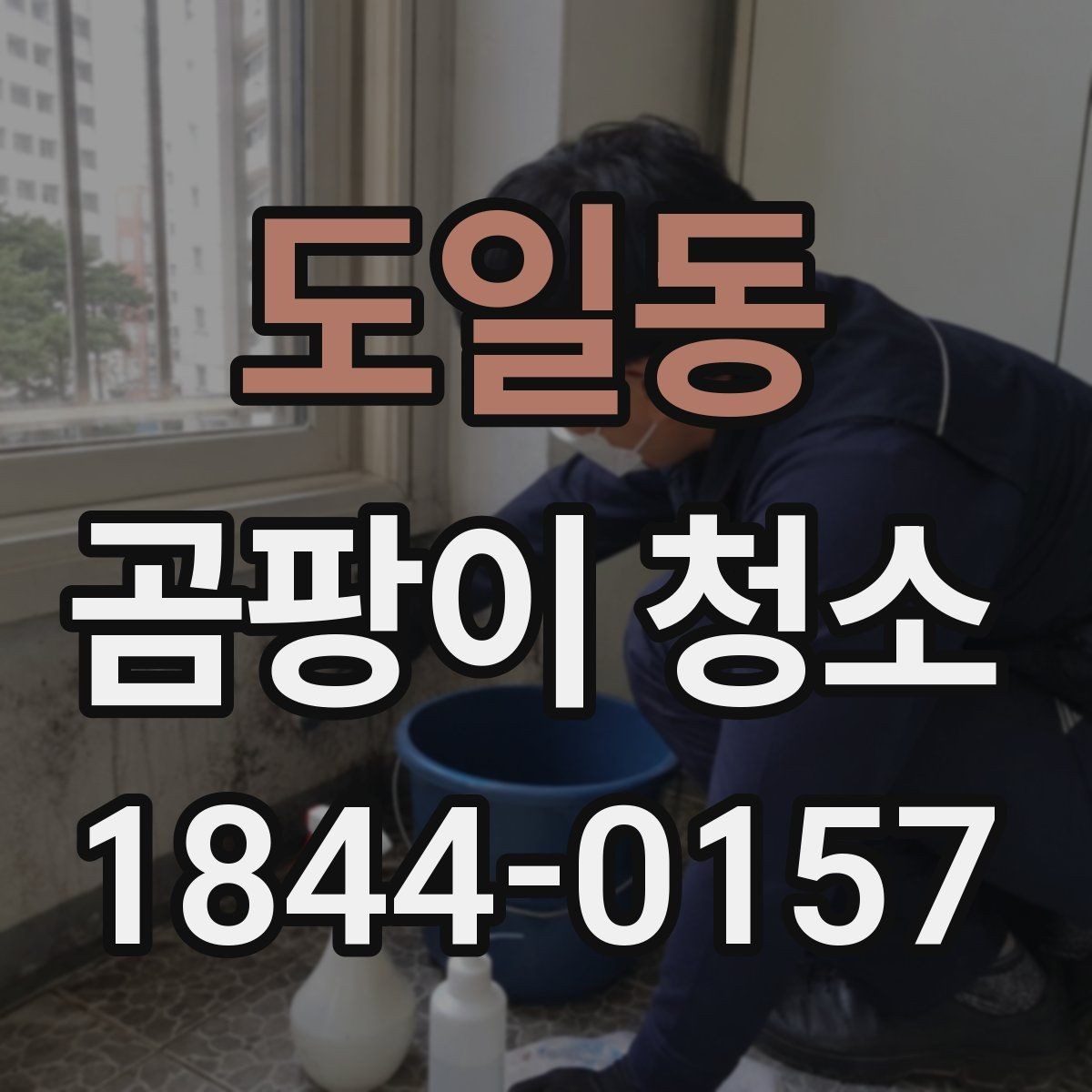 도일동 곰팡이 청소 업체 상담 전 체크리스트