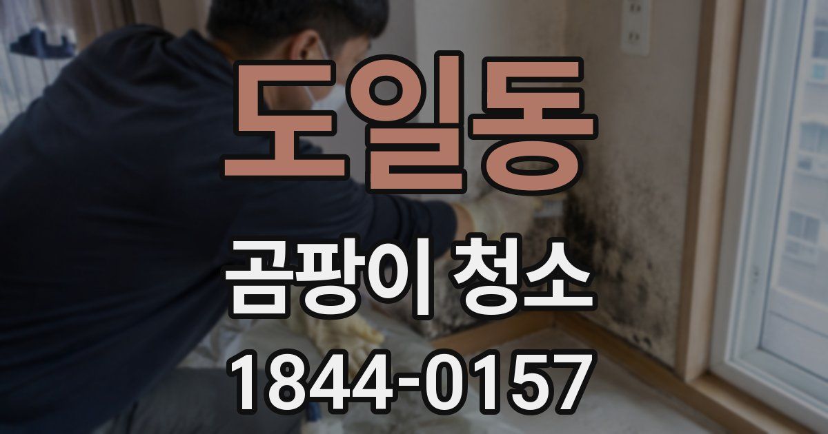 도일동 곰팡이 청소
