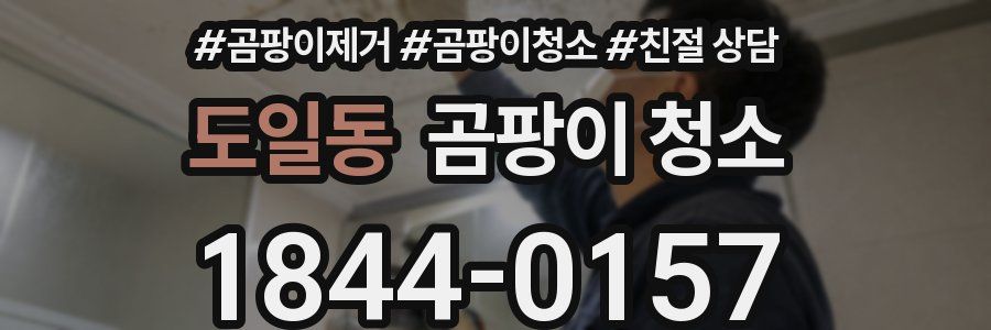 도일동 곰팡이 청소