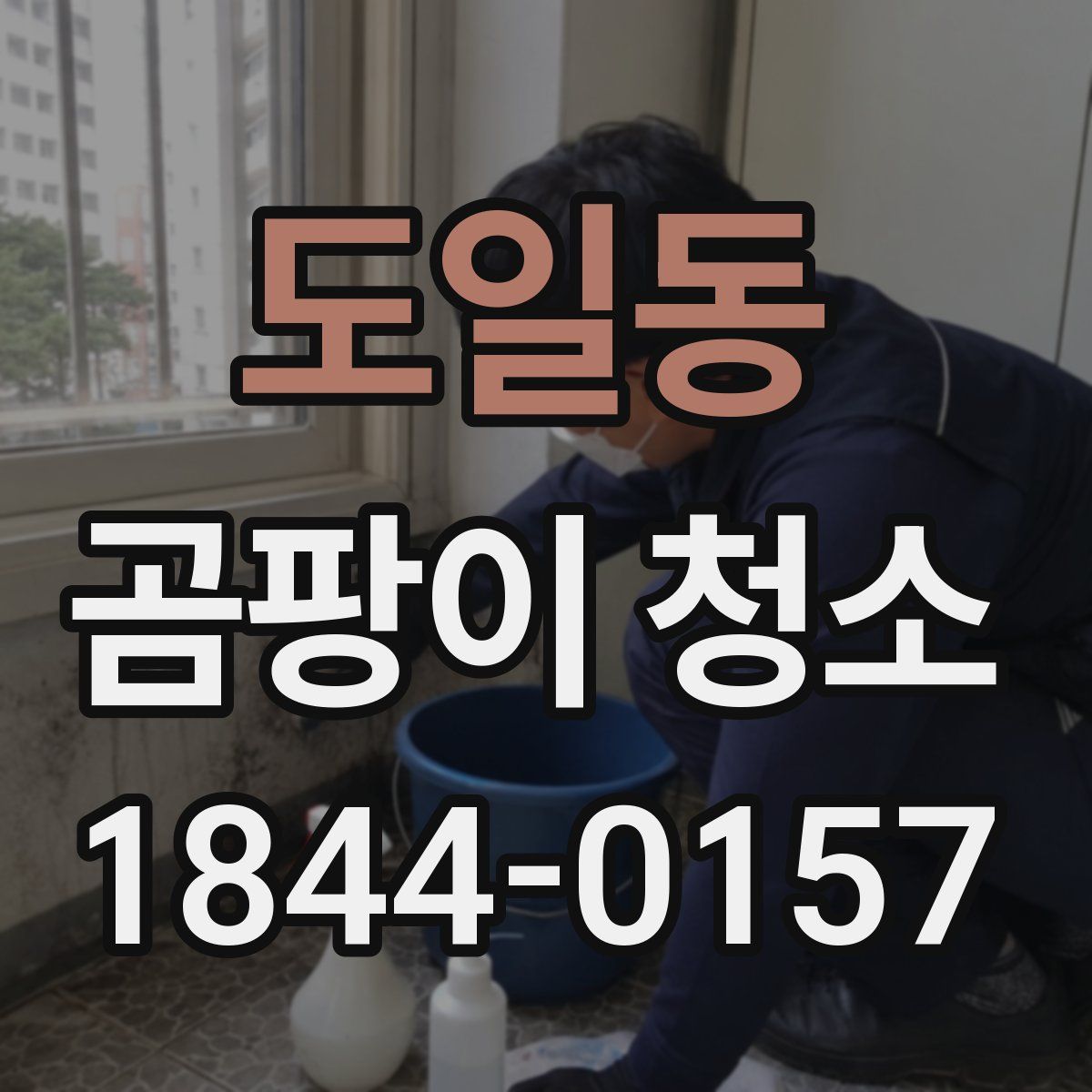 도일동 곰팡이 청소