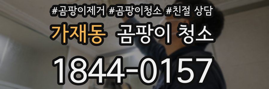 가재동 곰팡이 청소