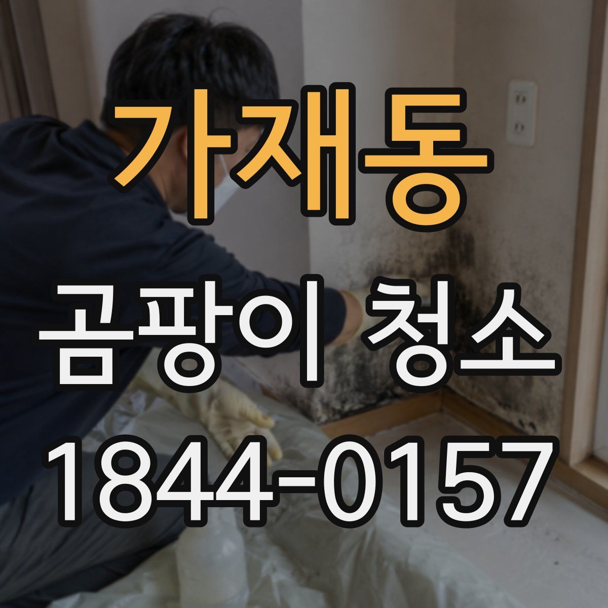가재동 곰팡이 청소
