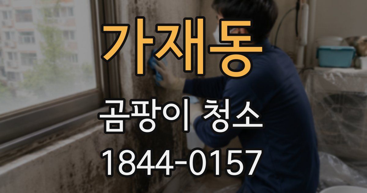 가재동 곰팡이 청소