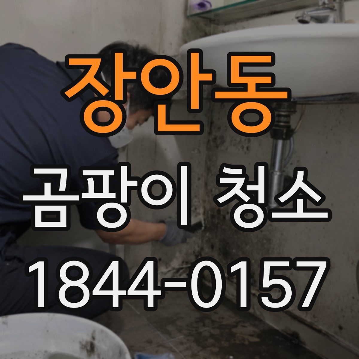 장안동 곰팡이 청소
