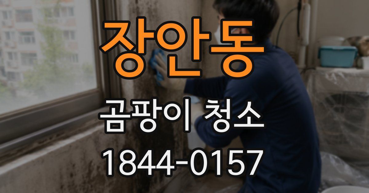 장안동 곰팡이 청소