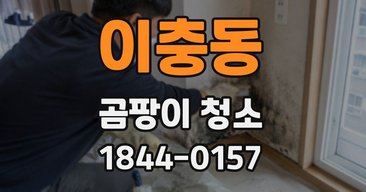 이충동 곰팡이 청소