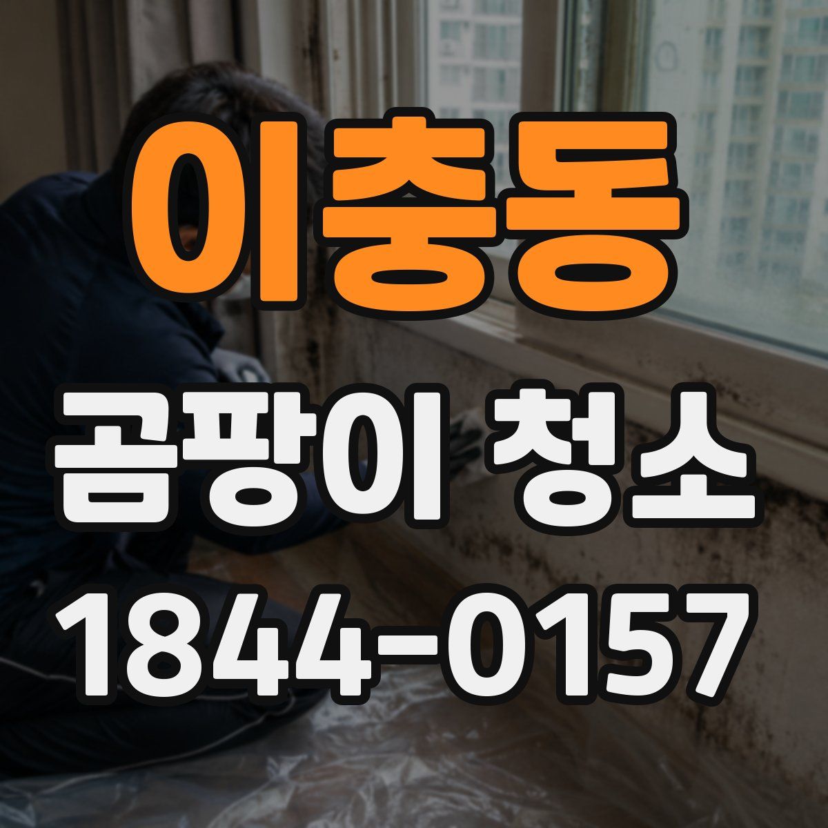 이충동 곰팡이 청소