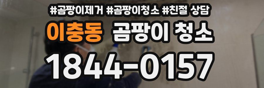 이충동 곰팡이 청소