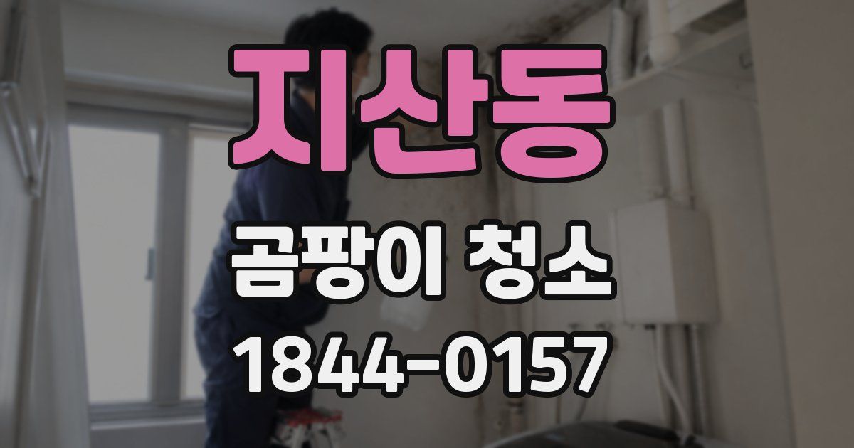 지산동 곰팡이 청소