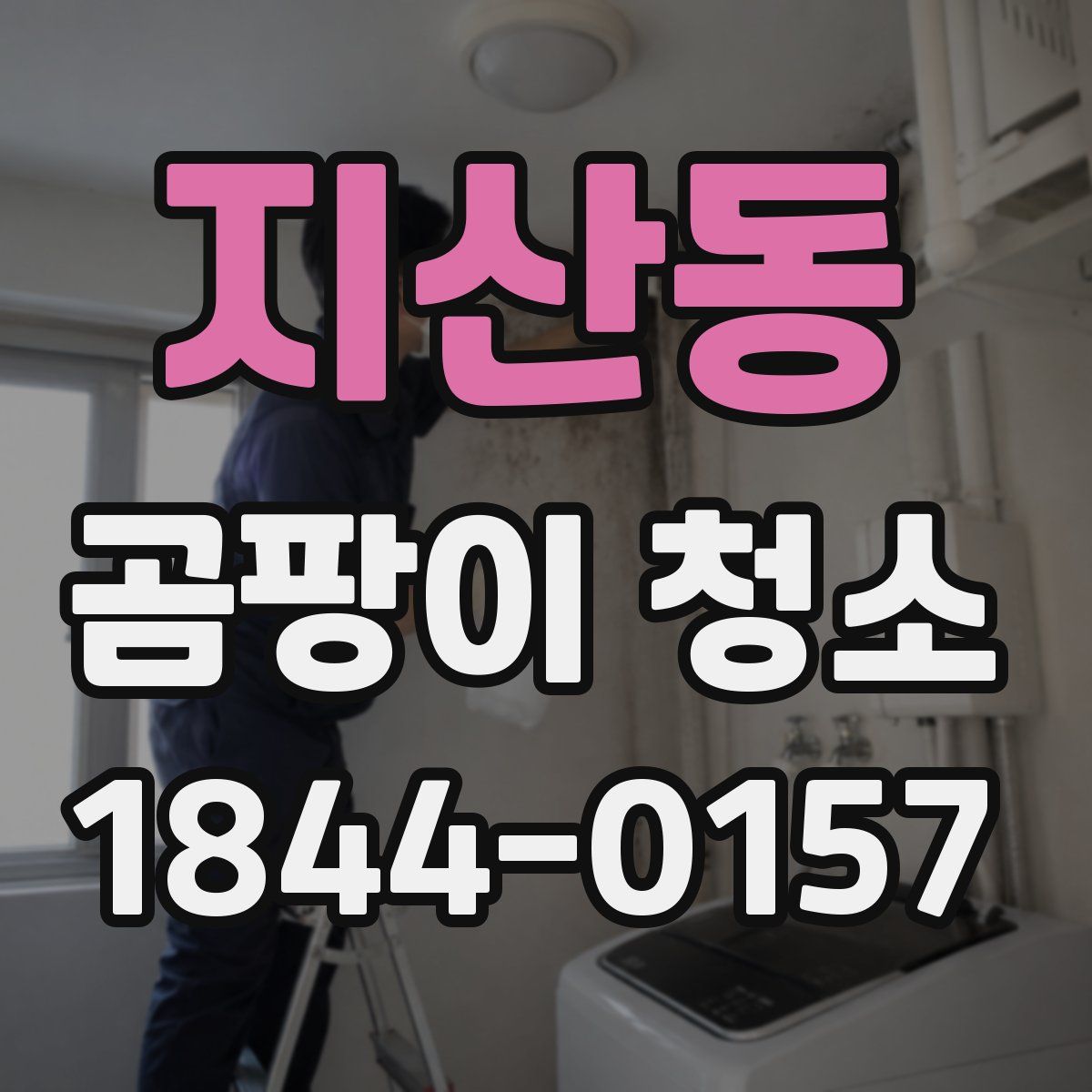 지산동 곰팡이 청소