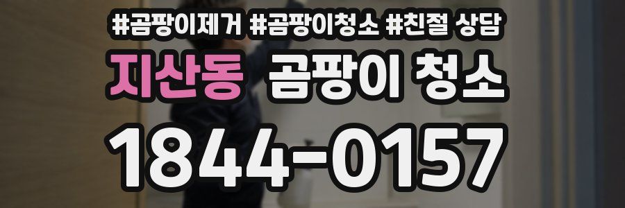 지산동 곰팡이 청소