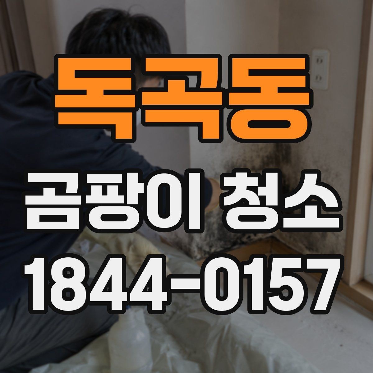 독곡동 곰팡이 청소 방법과 마무리 관리