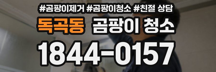 독곡동 곰팡이 청소