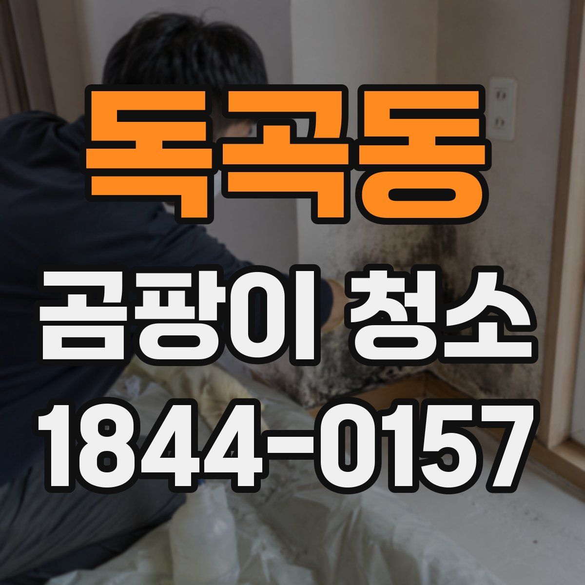 독곡동 곰팡이 청소