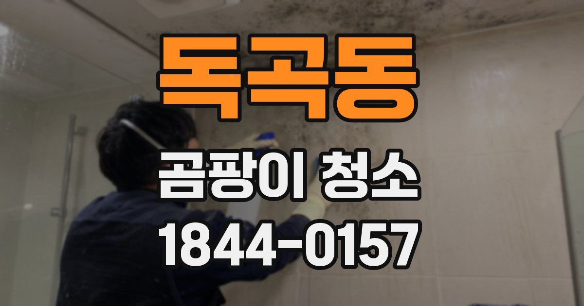 독곡동 곰팡이 청소