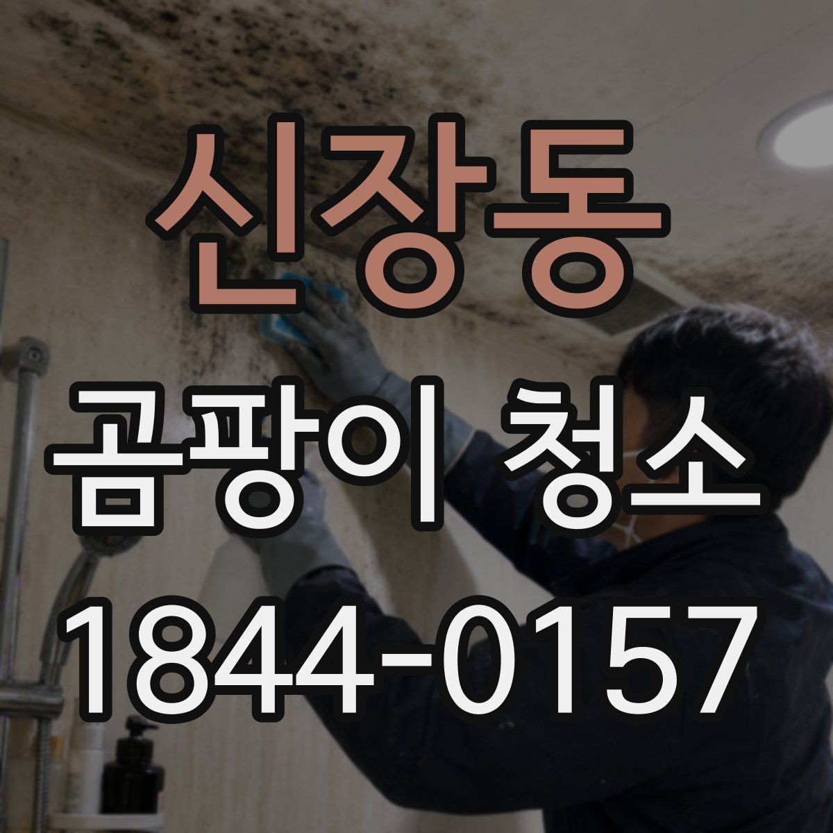 신장동 곰팡이 청소 후 환기와 건조를 관리하는 법