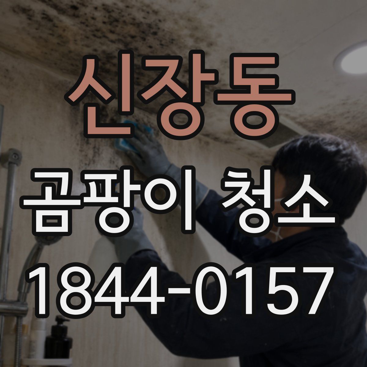 신장동 곰팡이 청소