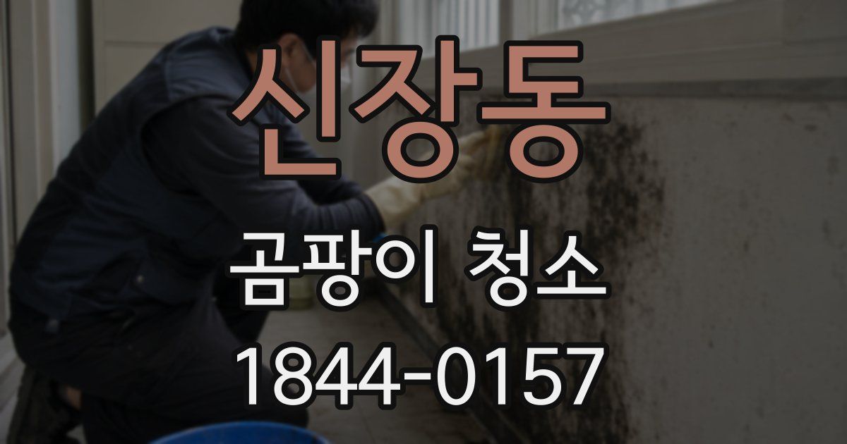 신장동 곰팡이 청소