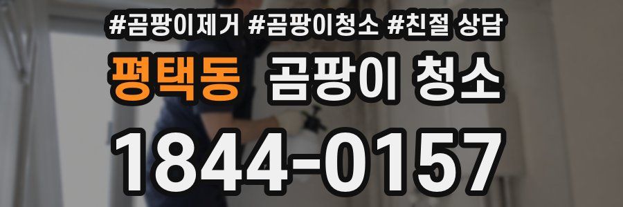 평택동 곰팡이 청소