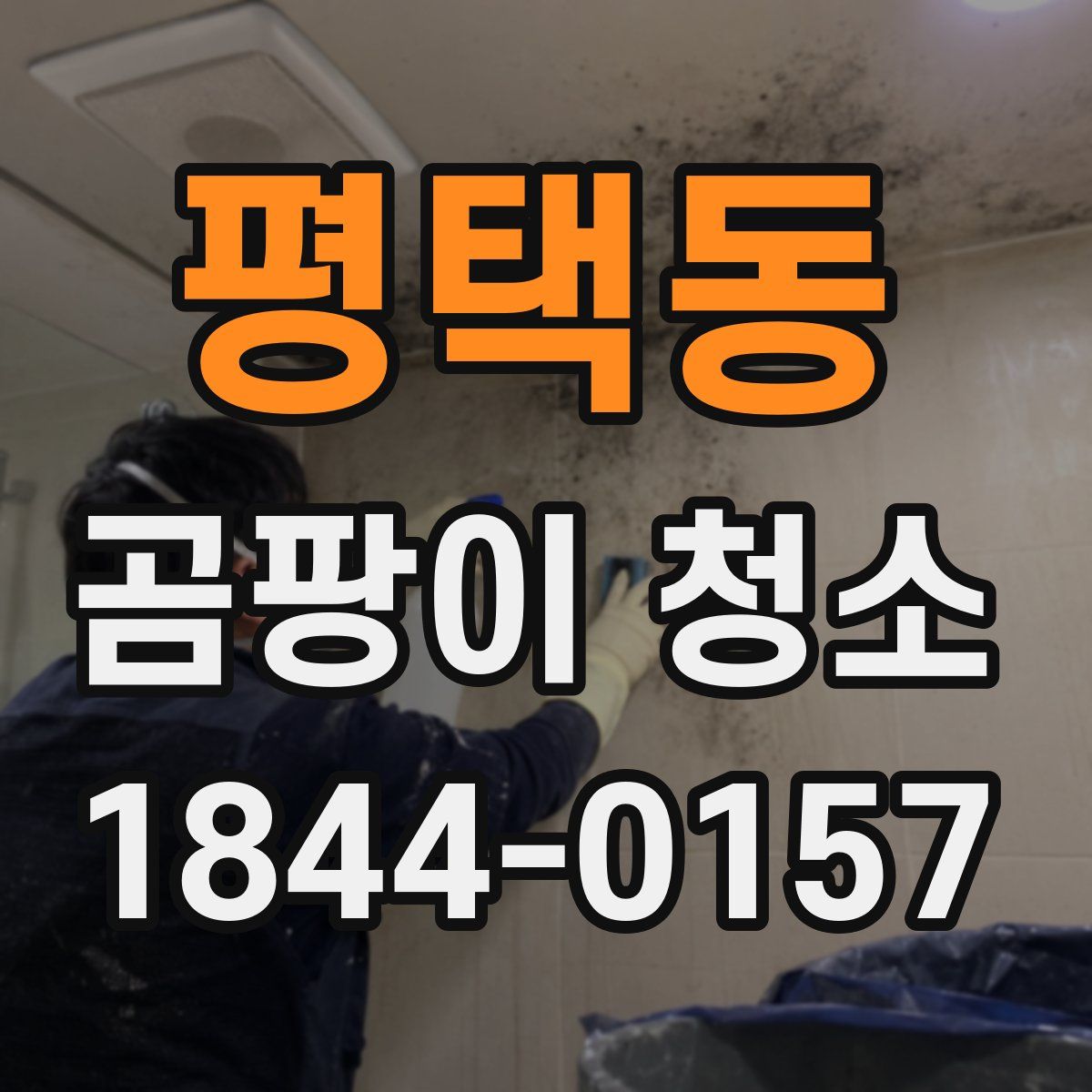 평택동 곰팡이 청소