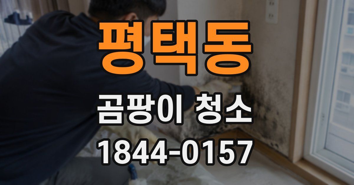 평택동 곰팡이 청소