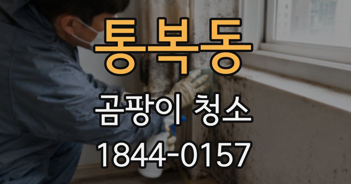 통복동 곰팡이 청소