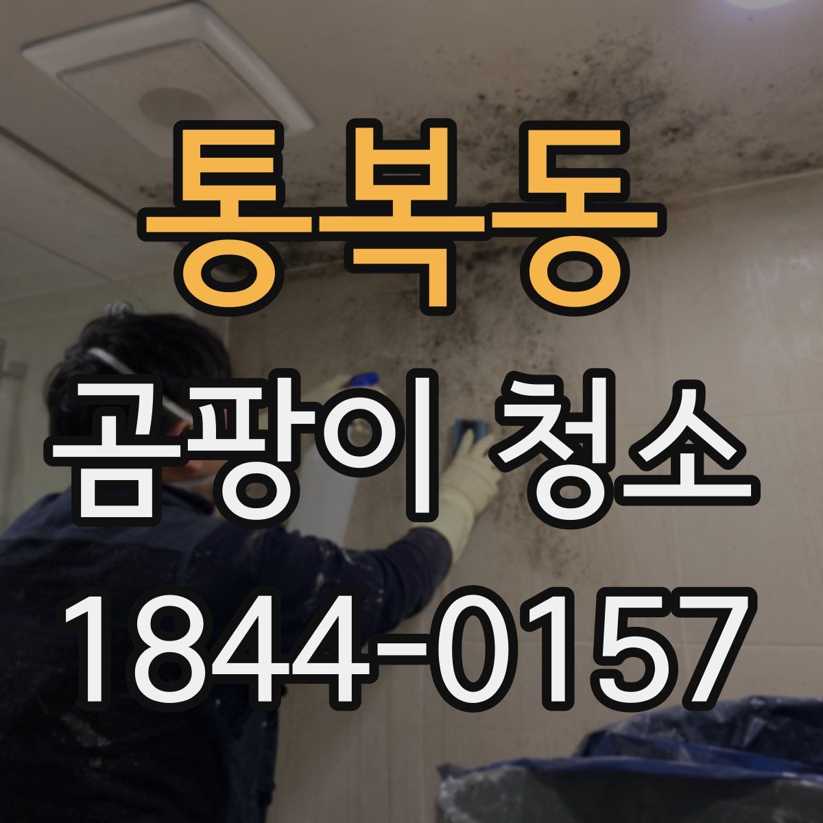 통복동 곰팡이 청소