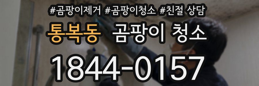 통복동 곰팡이 청소