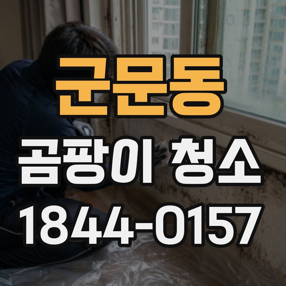군문동 곰팡이 청소