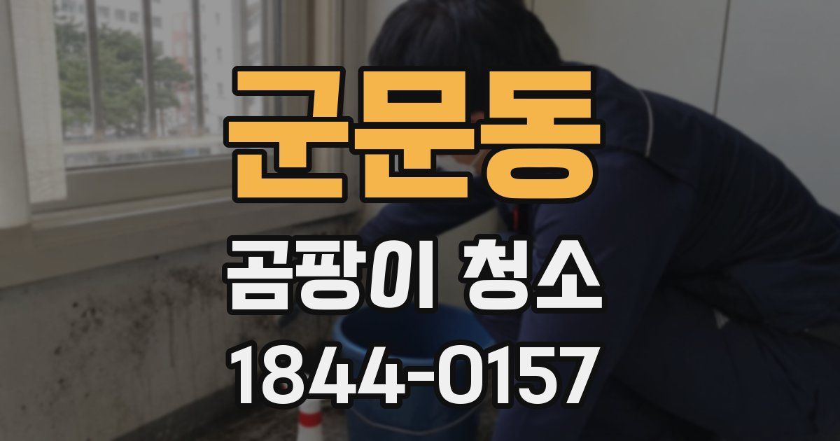 군문동 곰팡이 청소