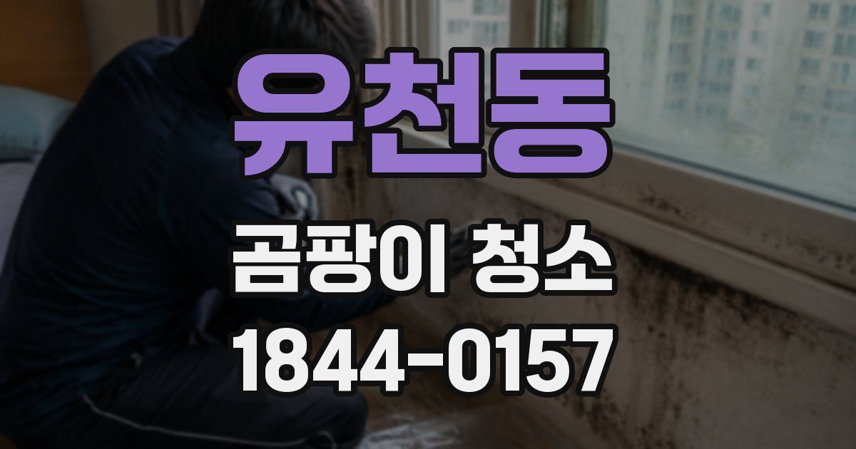 유천동 곰팡이 청소