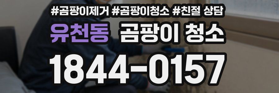 유천동 곰팡이 청소
