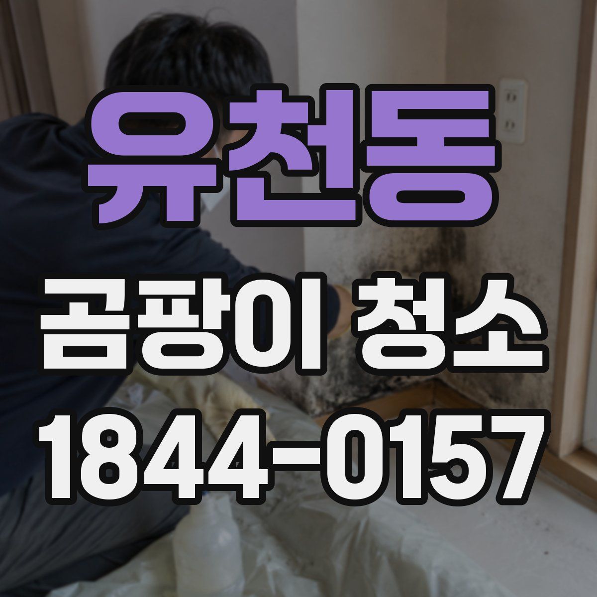 유천동 곰팡이 청소