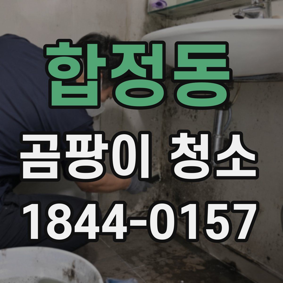 합정동 곰팡이 청소